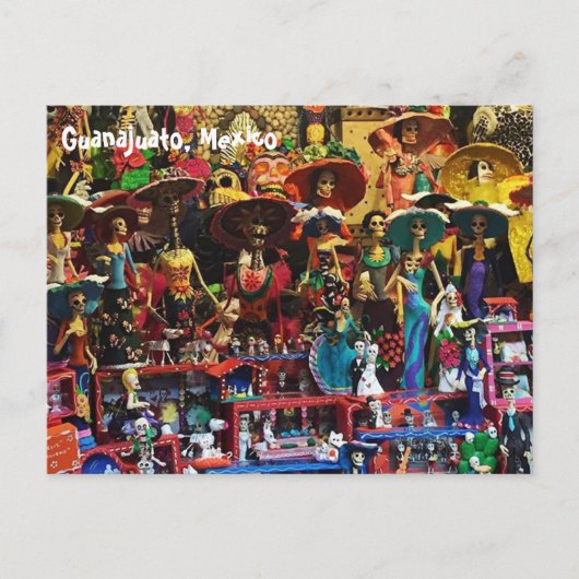 カトリナス ポストカード (正面)