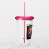 カトレヤオーキッドと3つのハミングバードのヒード アクリルタンブラー (右)