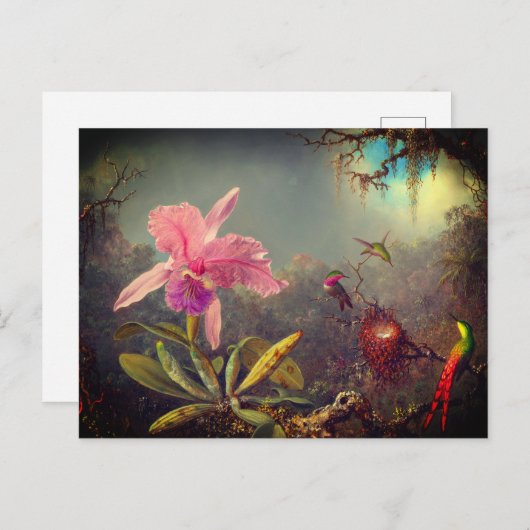 カトレヤオーキッドと3つのハミングバードのヒード ポストカード (正面/裏面)