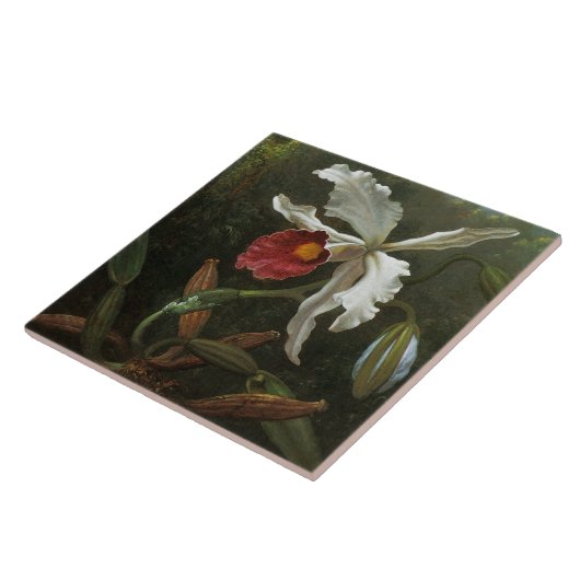 カトレヤオーキッドタイル タイル (側面)