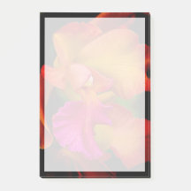 カトレヤオーキッドポートレート