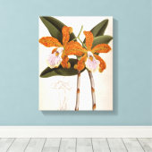 カトレヤベルティナヴィンテージリンデニアオーキッド キャンバスプリント (インサイチュ (ウッドフロア))