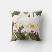 カトレヤモルガンヴィンテージリンデニアオーキッド クッション (裏面)