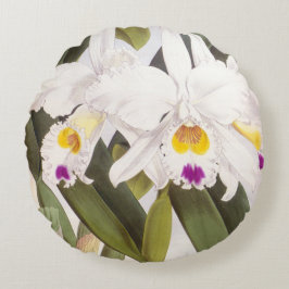 カトレヤモルガンヴィンテージリンデニアオーキッド ラウンドクッション