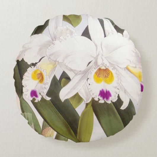 カトレヤモルガンヴィンテージリンデニアオーキッド ラウンドクッション (正面)