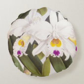 カトレヤモルガンヴィンテージリンデニアオーキッド ラウンドクッション (裏面)