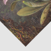 カトレヤ・オーキッドと3羽のハミングバード 薄葉紙 (詳細)