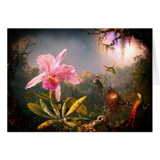 カトレヤ・オーキッドと3羽のブラジル産ハミングバード (正面横)