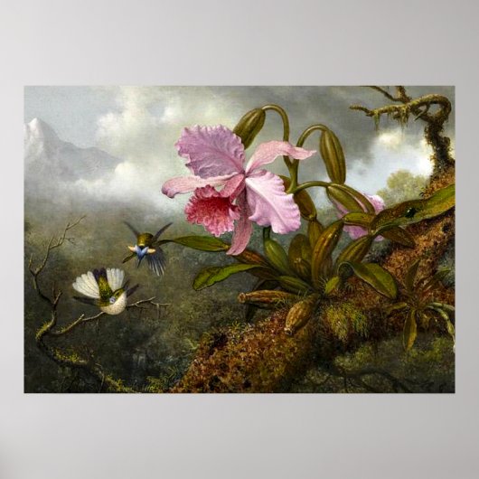 カトレヤ・オーキッド、ハミングバード2羽、カブトムシ ポスター (正面)