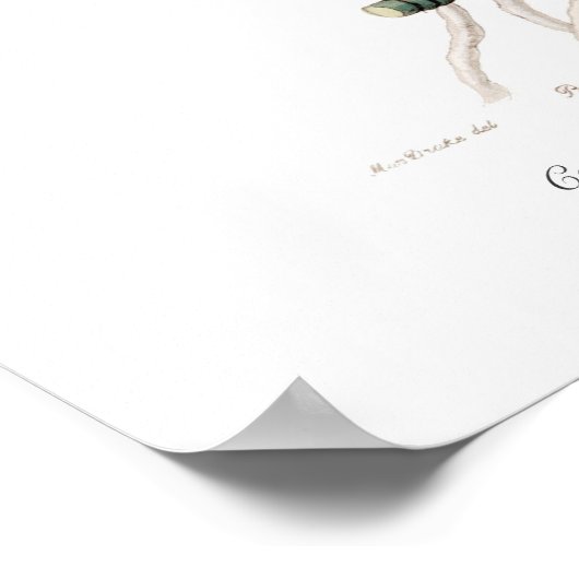 カトレヤ ポスター (角)