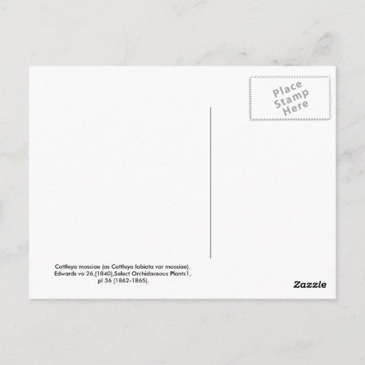 カトレヤ ポストカード (裏面)