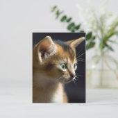 カト ポストカード (スタンド正面)