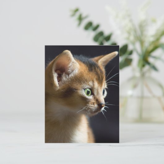 カト ポストカード (スタンド正面)