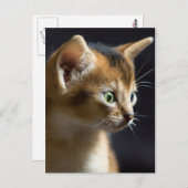 カト ポストカード (正面/裏面)