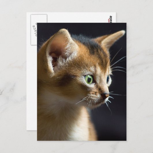 カト ポストカード (正面/裏面)