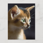 カト ポストカード (正面)