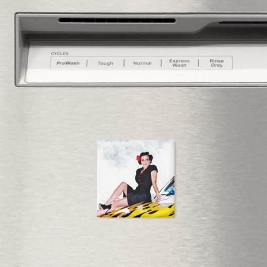 カト マグネット (インサイチュ (食洗機))