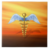 カドゥセウス タイル (正面)