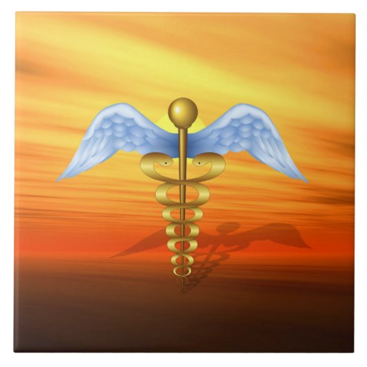 カドゥセウス タイル (正面)