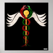 カドゥセウス ポスター (正面)