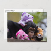 カドリーチンプ&アニマルフレンズ ポストカード (正面/裏面)