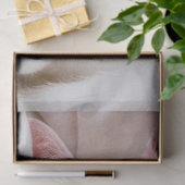 カドル子猫ティッシュペーパー 薄葉紙 (ギフト)