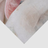 カドル子猫ティッシュペーパー 薄葉紙 (詳細)