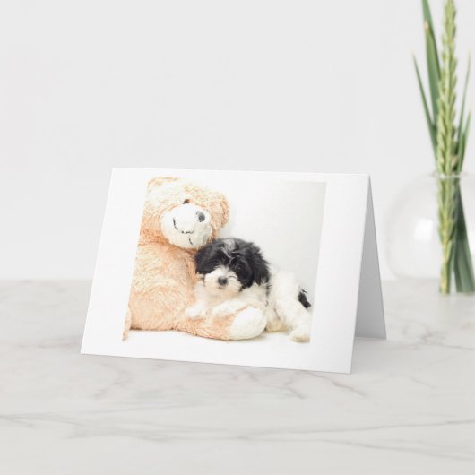 カドル時間-***新生児***おめでとう カード (正面)