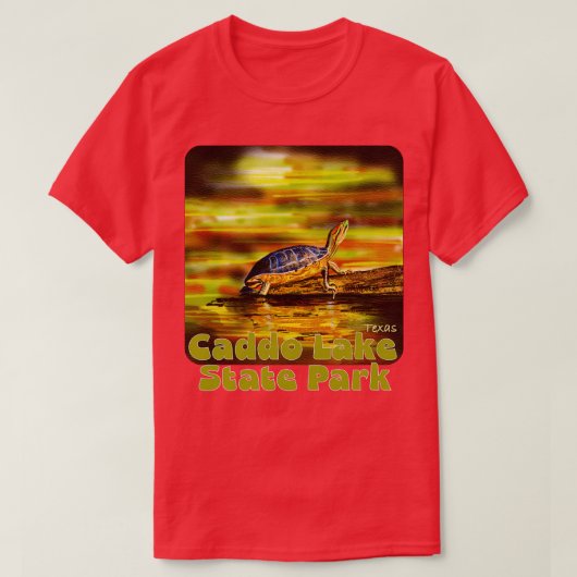 カドレイク州パークテキサス州 Tシャツ (デザイン正面)