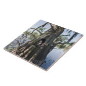 カドレイク、狩りブラインド タイル (側面)