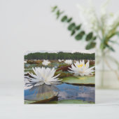 カドーの香りの良い水ユリ(ニンファエア·オドラタ) ポストカード (スタンド正面)