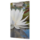 カドー湖の香りのよいスイレン (Nymphaea Odorata) クリップボード (左)