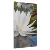 カドー湖の香りのよいスイレン (Nymphaea Odorata) クリップボード (右)