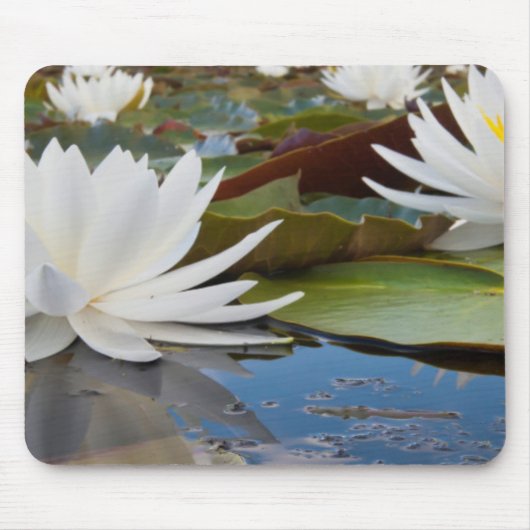 カドー湖の香りのよいスイレン (Nymphaea Odorata) マウスパッド (正面)