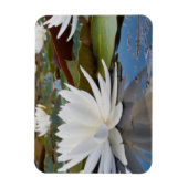 カドー湖の香りのよいスイレン (Nymphaea Odorata) マグネット (縦)