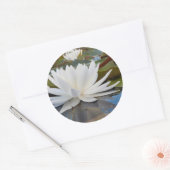 カドー湖の香りのよいスイレン (Nymphaea Odorata) ラウンドシール (封筒)