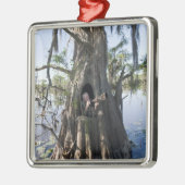 カドー湖、狩りブラインド メタルオーナメント (左)