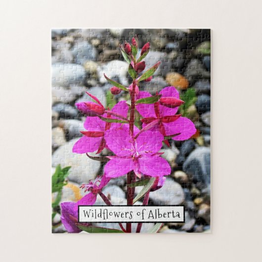 カナかわいらしダのピンクのFireweed Wilflowers開花 ジグソーパズル (縦)
