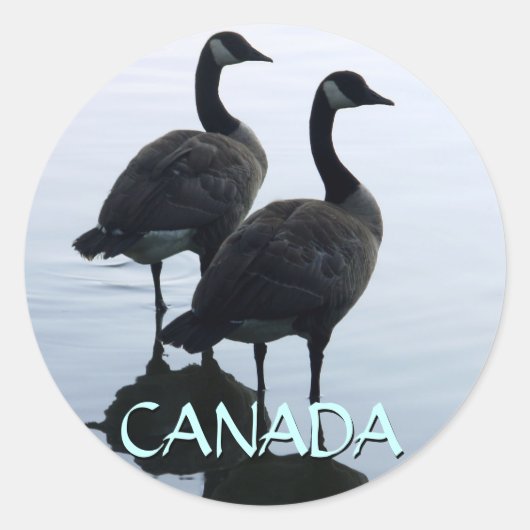 カナダおみやげステッカーCanada Gooseステッカー ラウンドシール (正面)
