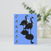 カナダおみやげポストカードカナダGeese Cards ポストカード (スタンド正面)