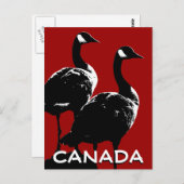 カナダおみやげポストカードカナダGeese Cards ポストカード (正面/裏面)