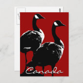 カナダおみやげポストカードカナダGeese Cards ポストカード (正面/裏面)