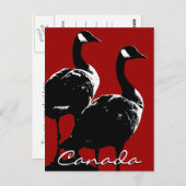 カナダおみやげポストカードカナダGeese Cards ポストカード (正面/裏面)