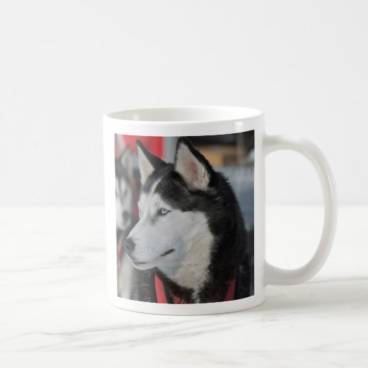 カナダでのレース前のハスキー犬 コーヒーマグカップ (右)