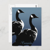 カナダのお土産ポストカード カナダのカモシカのカード ポストカード (正面/裏面)