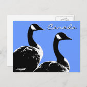 カナダのお土産ポストカード カナダのカモシカのカード ポストカード (正面/裏面)