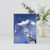 カナダのアルバータ州ルイーズ湖で氷の彫刻を行う ポストカード (スタンド正面)