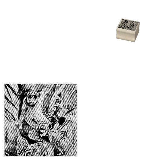 カナダのアーティスト、野生のサル、アートワークおもしろい ラバースタンプ (押印)