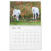 カナダのオオカミ（カレンダー） カレンダー (2月 2026)