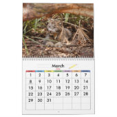 カナダのオオヤマネコ4200eのカナダのオオヤマネコ カレンダー (3月 2026)